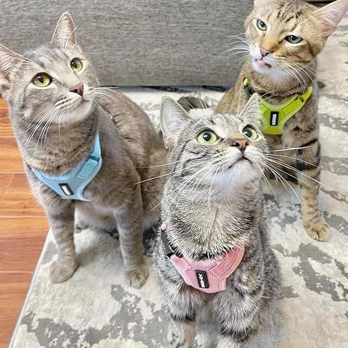 Voyager Step-in Lock Adjustable Cat Harness w. Cat Leash Combo Set with Neoprene Handle 5ft - Supports Small, Medium and Large Breed Cats by Best Pet Supplies - Pink, XS