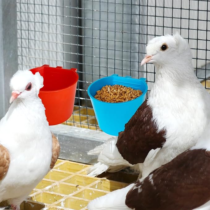 10 Pcs Cage Cups Birds Feeders Bowl Chicken Feeding Watering Dish Hanging Wire Cages Box Coop Cups for Pet Parrot Parakeet Gamefowl Poultry Pigeon and Quail(Blue and Red)