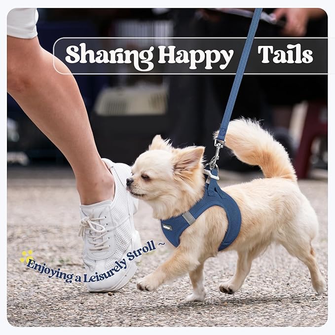 rabbitgoo Dog Harness Small Sized and Leash Set, Step in Soft Light Puppy Vest, Breathable Mesh Pet Harness, Reflective for Safe Outdoor Walking, Navy Blue XS