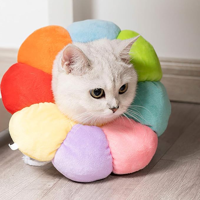 KUDES Cat Small Dog Recovery Collar, Cute Neck Cone After Surgery, Adjustable Pet E Collar, Wound Healing Protective Cone Surgery Recovery Elizabethan Collars for Small Pet (M(within 9.5lb), Colorful)