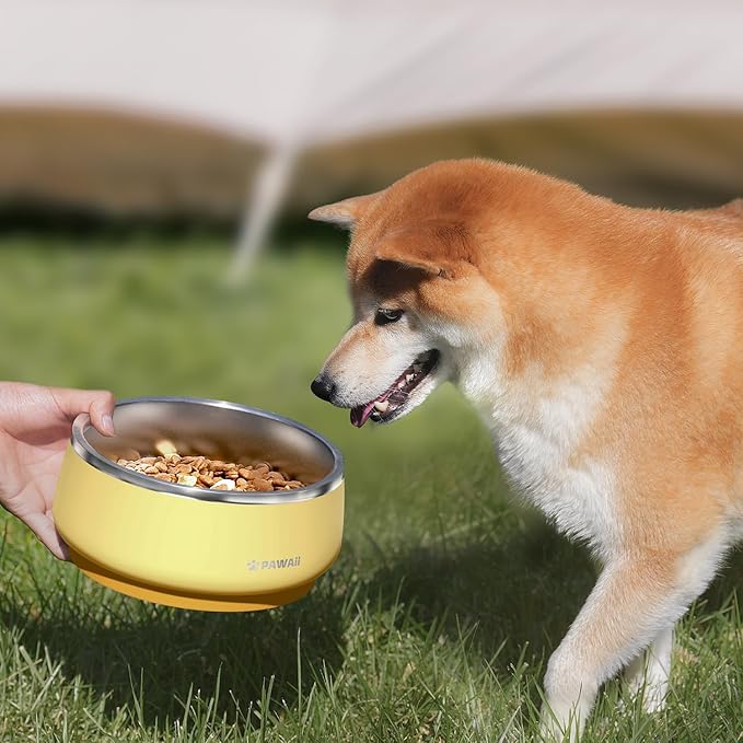 Pawaii Stainless Steel Dog Bowl with Non-Slip Rubber Base & Double Wall Insulation - Durable Design | Includes ID Tag | Dishwasher Safe Food & Water Bowl for All Dogs (34oz)