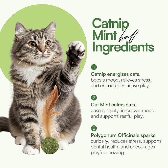3 Pcs Catnip Balls with Feathers โ Natural Catnip Toy for Play, Stress Relief & Healthy Enrichment Interactive Cat Toys Perfect for Indoor Cats & Kittens, Encourages Active Play & Wellness