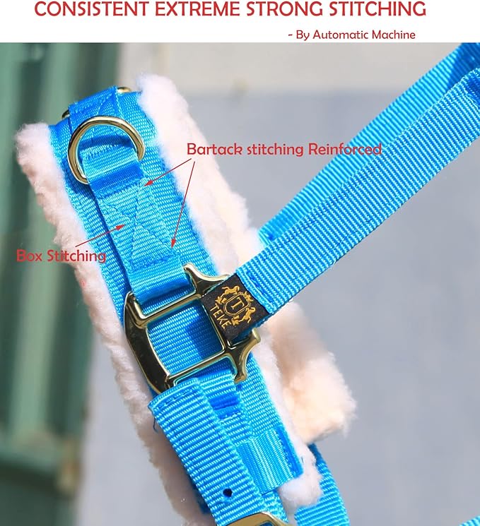 T TEKE Lunge Cavesson with Fleece Lined Nose Band and Crown