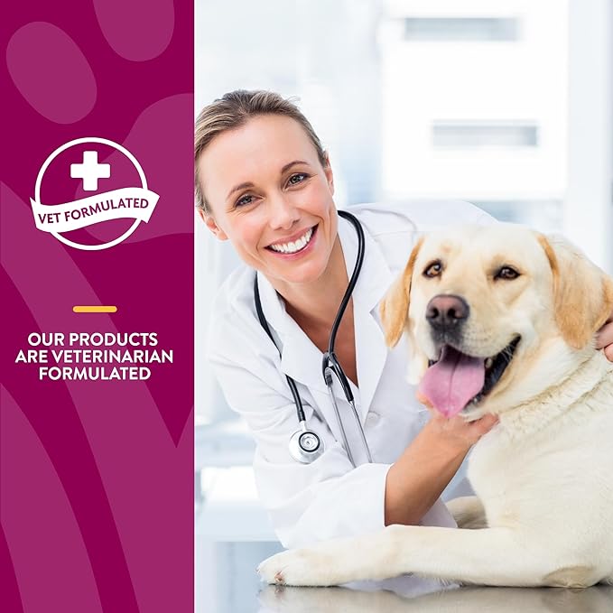NaturVet – Glucosamine DS - Level 1 Maintenance Care | Preventative Care to Maintain Healthy Cartilage & Joint Function | Enhanced with Glucosamine & Chondroitin | for Dogs & Cats (240 Tablets)