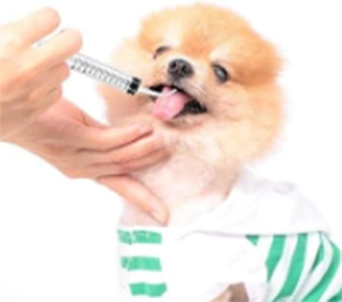 Baby Bird Feeding Syringe Set, Pet Parrot Milk Feeding Syringe with Tubes, Manual Syringe Feeder, Liquid Food, Reusable, Syringe with Spoon Tip(10ml*2+12ml*2+20ml+60ml)