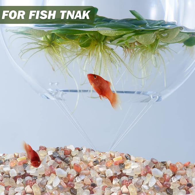 Halatool Crystal Pebbles 6 LB Bulk Bag 0.27"-0.79" Natural Landscaping Pebbles Aquarium Gravel Decorative Polished Stone Suitable for Plants Home Decoration DIY Handmade Fish Tanks Vase Filler