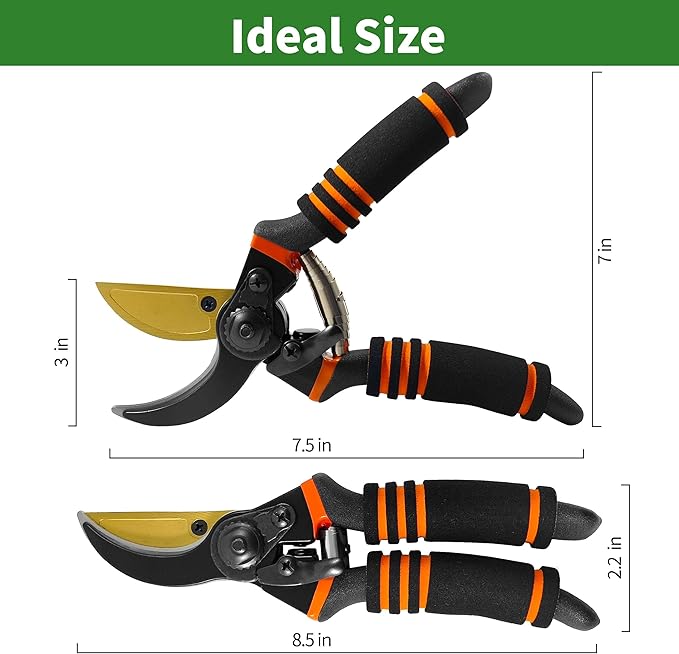 Gardening Tools โ 42 Piece Premium Gardening Tool Set,Heavy Duty Hand Tools with Fashion Garden Tools Organizer Handbag,Rust-Proof Gardening Tool Kit, Ideal Gardening Gifts for All (Green/Grey)