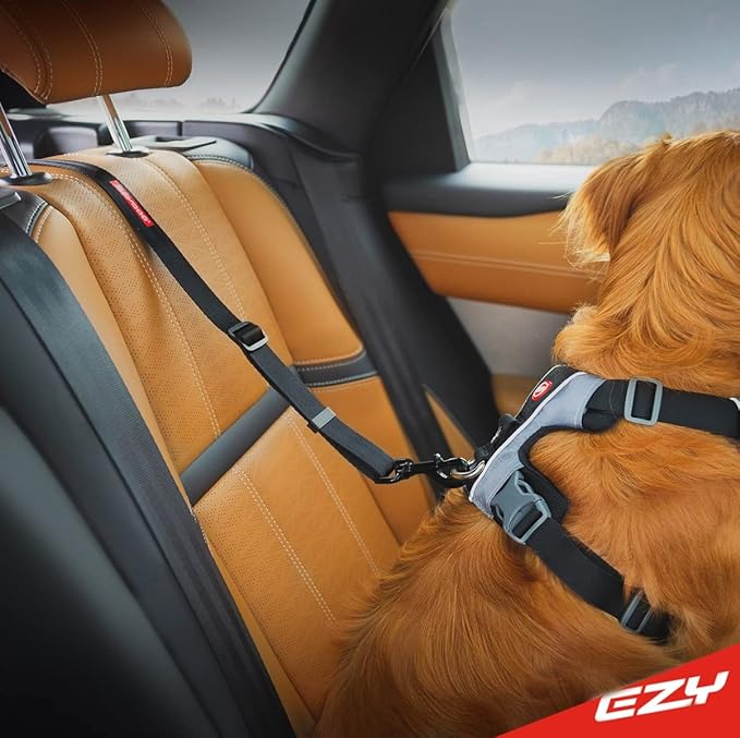 EzyDog Click ISOFIX Standard - Dog Seat Belt Car Harness Attachment for Dogs - Adjustable Dog Restraints Seatbelts for Car Travel and Safety - (17in - 26in, Black)