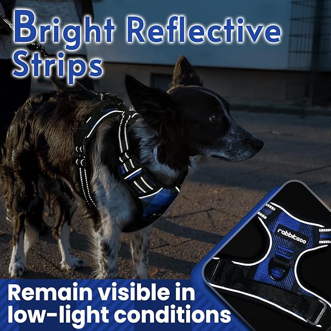 rabbitgoo Dog Harness No Pull with 2 Leash Clips, Adjustable Soft Padded, Reflective Oxford No Choke Pet Vest with Easy Control Handle for Large Dogs, Blue Plaid, L