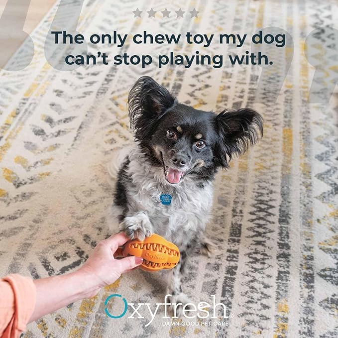 Oxyfresh Dog Dental Chew Toy - Best Durable Rubber Dog Toy for Tough Chewers – Helps Remove Plaque, Cleans Teeth & Freshens Breath Without Brushing (Large)