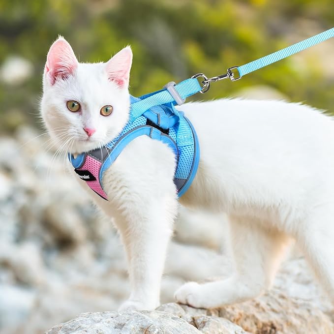 Dooradar Cat Harness and Leash Set, Escape Proof Lightweight Kitten Harness, Soft Breathable Reflective Vest for Outdoor Walking Traveling, Adjustable for Large Cats, Pink & Blue, L