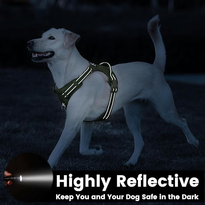 No Pull Dog Harness, Reflective Puppy Vest for Small Medium Large Sized Dog (Misty Green,XL)