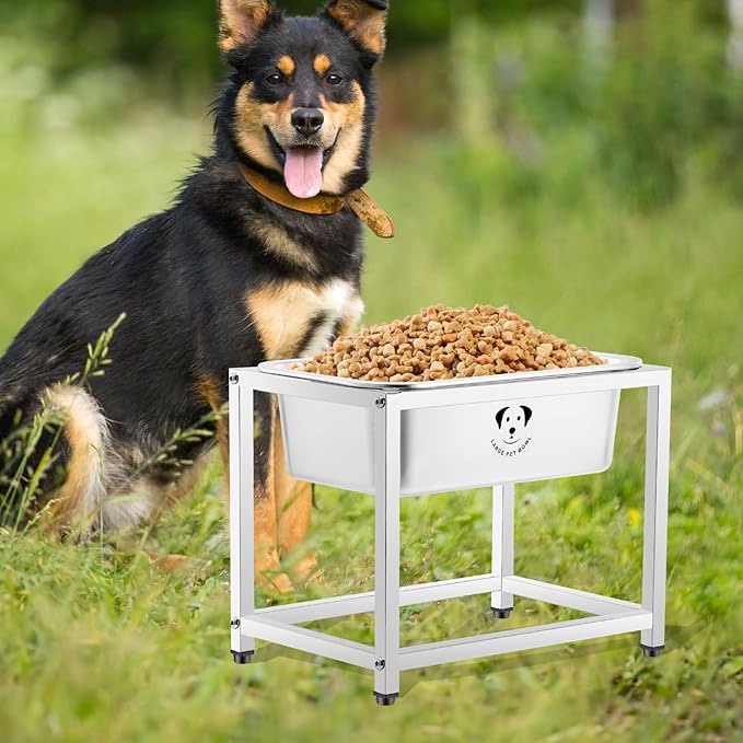 1.25 Gallon Elevated Large Dog Water Bowl, 10.23" Raised Stainless Steel Bowl for Medium Large Breed, Elevated Dog Water Bowl with Full Metal Stand, Easy to Clean and Assemble for Indoor Outdoor