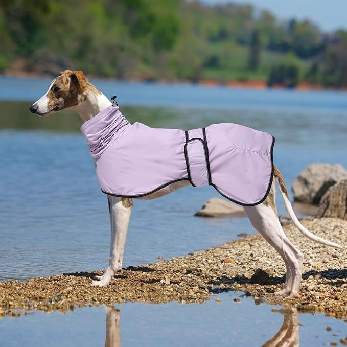 Dog Raincoat with Reflective Bar, Rain/Water Resistant, Adjustable Vest - Dog Raincoats for Greyhounds, Lurchers and Whippets - Purple - S