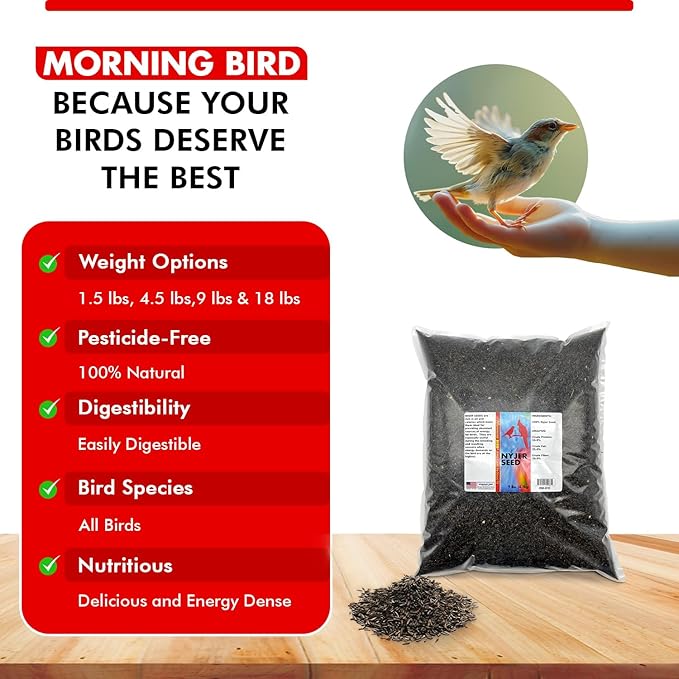Morning Bird Nyjer Seed for Birds 9 lbs – Energizing Nutrition with Rich in Vitamins and Supplements – Ideal Bird Food for Breeding & Molting – Nyjer & Finch Seed for All Birds