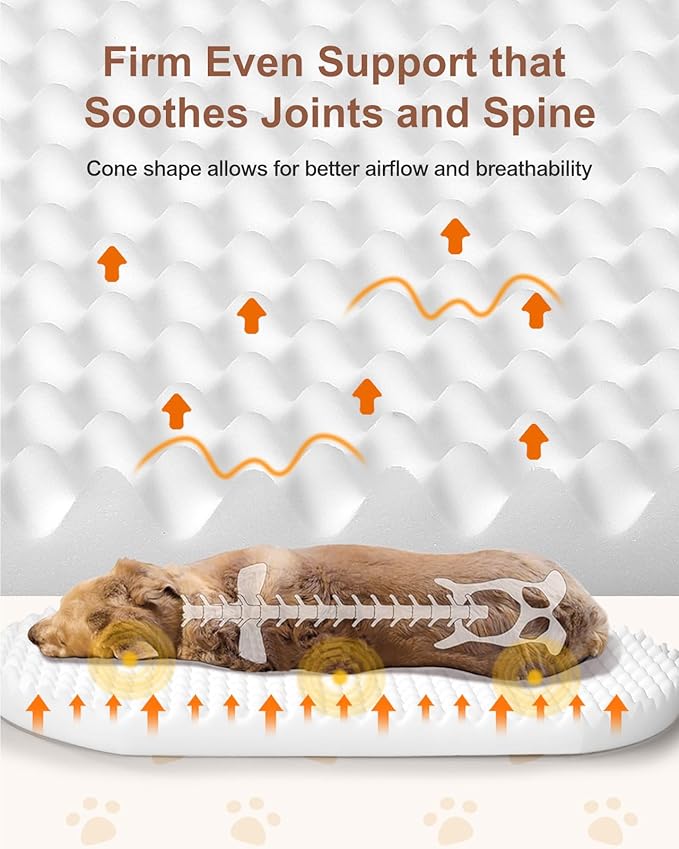 Dog Beds for Jumbo Dogs, 47.5"x35"x7.6", Removable and Washable Cover, Raised Reboundable Edges, Non Slip Bottom, Extra Big Size, Orthopedic Oval Memory Foam Pet Bedding, Indoor