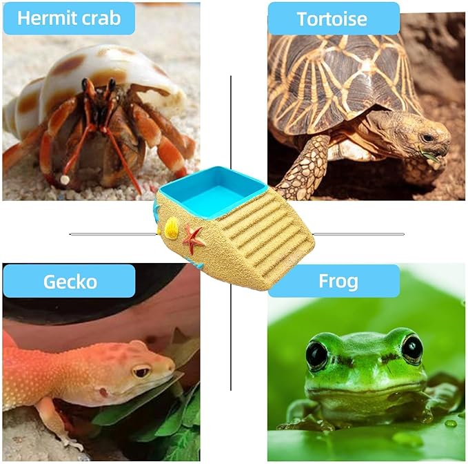 Tortoise Water Bowl,Reptile Water Dish,Resin Bearded Dragon Feeding Bowl with Ramp, Hermit Crab Bathing Pool, Lizard Food Dish Terrarium Decor for Turtle,Gecko,Chameleon,Frog(L)