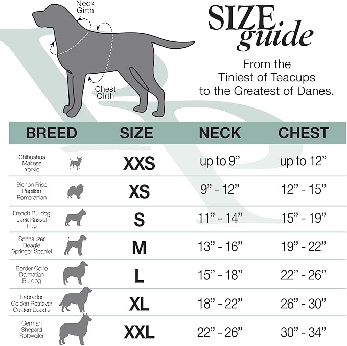 Rocky – The Orginal Lightweight Hooded TEE 100% Organic Cotton Dog Hoodie Pet Coat Sweater for Small, Medium, Large Dogs, Heather Gray, X-Small