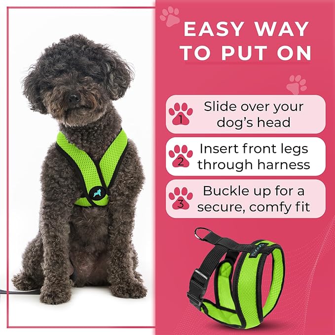 Gooby Comfort X Head In Harness - Green, Medium - No Pull Small Dog Harness Patented Choke-Free X Frame - Perfect on the Go Dog Harness for Medium Dogs No Pull or Small Dogs for Indoor and Outdoor Use