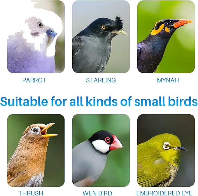 Bird Water Feeder for Cage, Transparent Acrylic Birds Cage Suspended Automatic Pet Bird Water Dispenser, Parakeet Feeder for Budgie Cockatiel Lovebirds Canary Finch Rabbit Conure Lovebirds