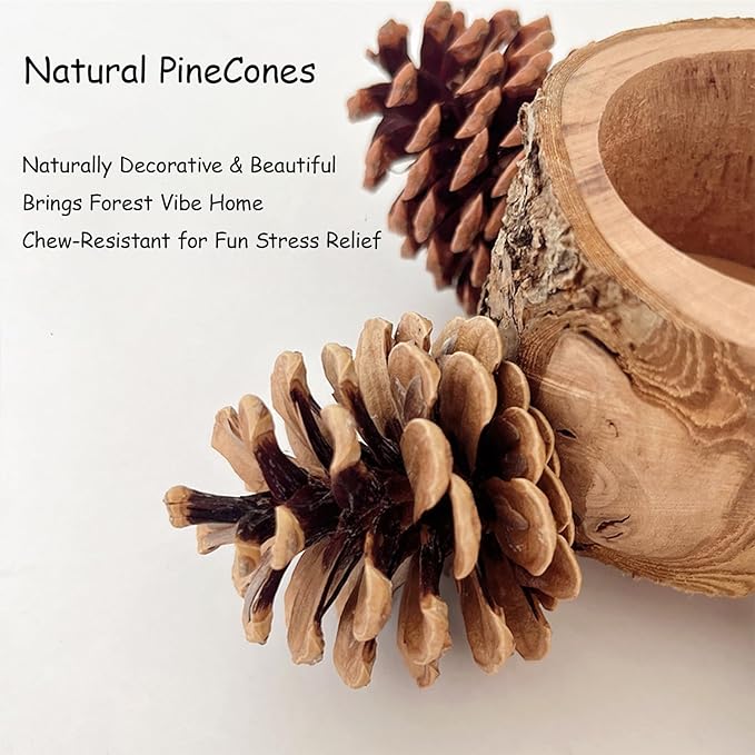 Bird Perch with Safe Bowl Wood & Pinecones - Bird Toys Chew Toys 100% Natural & Durable for Cockatiel, Conure, Budgie, Lovebird, Parakeet - Birdcage Accessory for Foraging & Oral Health