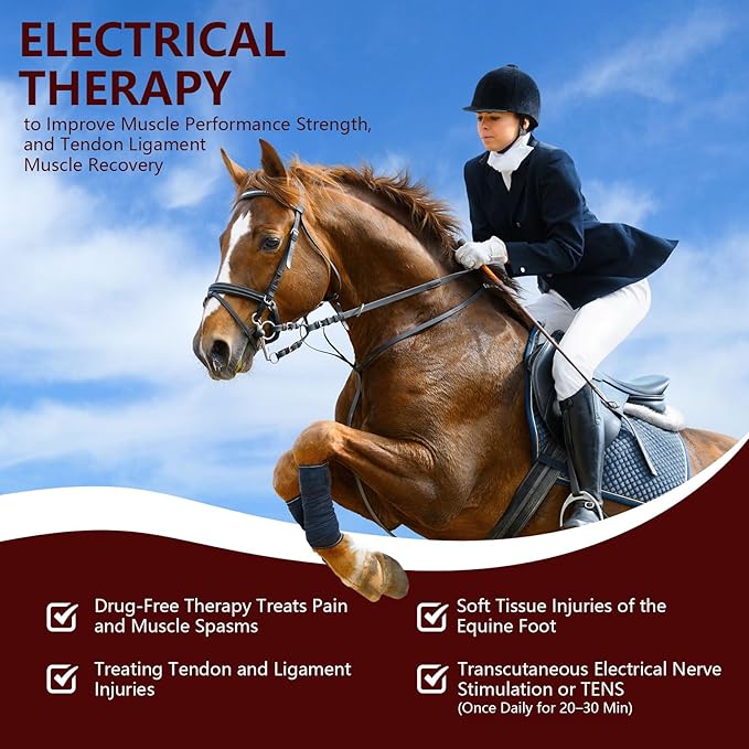 Cold Laser Therapy Device for Horse, Portable Red Light Therapy with 4pcs 808nm and 12pcs 650nm, Near Infrared Laser for Arthritis Pain Relief- Electrical Stimulation for Tendon, and Ligament Recover
