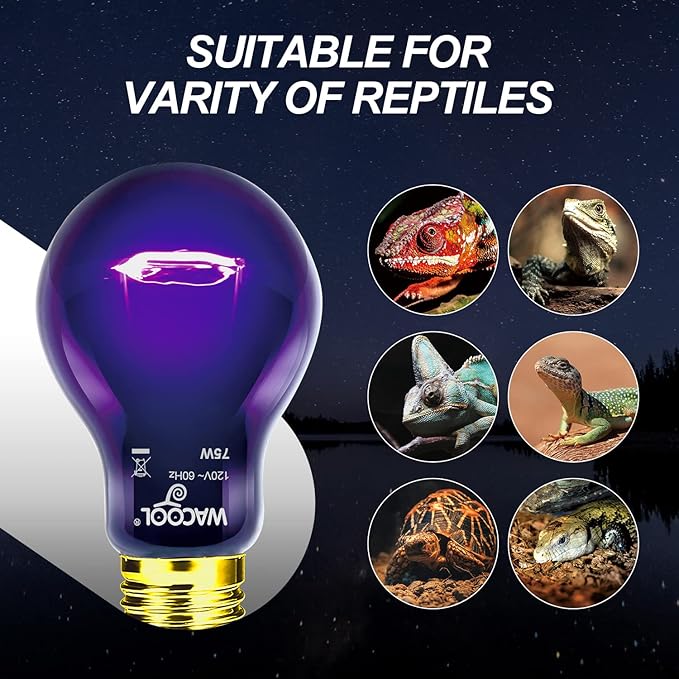WACOOL 4Pack Reptile Night Heat Lamp, 75W Night Heat Lamp for Reptiles & Amphibians,Simulate Nature Moonlight Purple Night Light for Bearded Dragon Lizard Snake Crab…