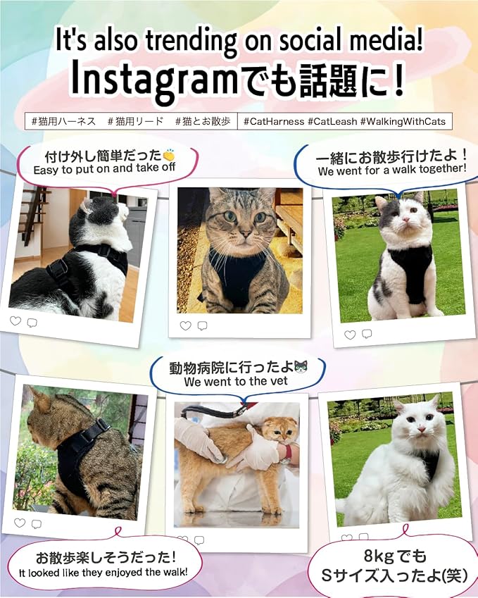 Cat Harness Escape Proof with Leash for Walking, Travel Vest Soft Chest Support, Adjustable Size, Escape Proof Soft Adjustable Vest Harnesses, Breathable, Kittens, Small Dogs (美/背縄/橙1/S)