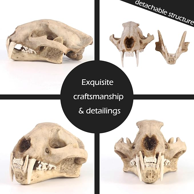 Aquarium Dรฉcor Cave Decorations Fish Hideout Betta Tarantula Reptile Snake for Terrarium Ornament Dinosaur Animal Skull Large Bones Halloween