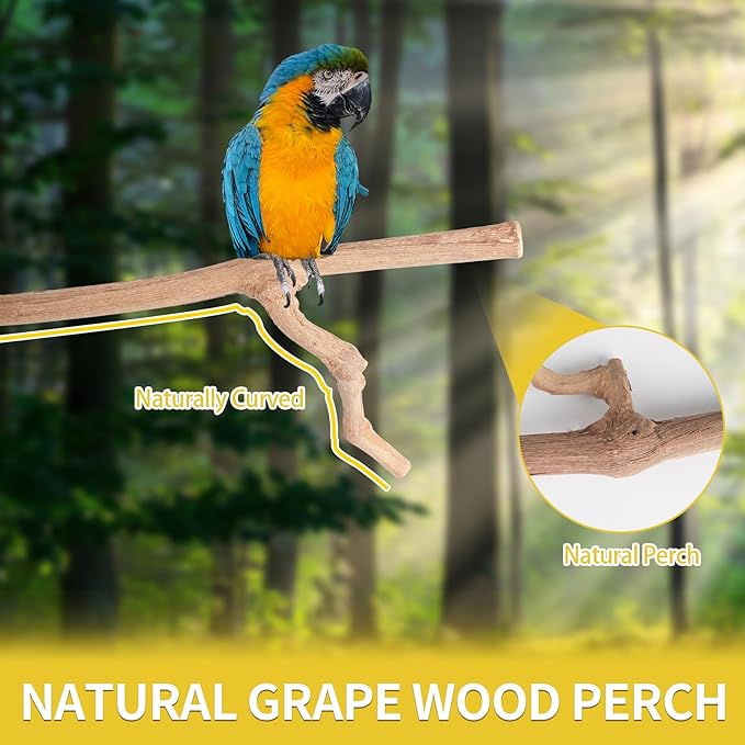 Bird Perches, 6PCS Natural Wood Birds Perch Stand Set, Parakeet Toys, Bird Cage Accessories, Stand & Toys for Parakeets, Cockatiels, Conure, Budgies