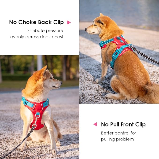 PHOEPET No Pull Dog Harness, Unique Colors Reflective Adjustable Dog Vest, with Soft Training Handle Metal Clips for Small Medium Large Dogs (Red Base & Teal Straps,S)