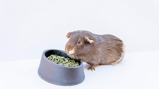 High Desert Timothy Grass Hay Pellets for Rabbits, Guinea Pigs, Chinchillas, and Small Pets