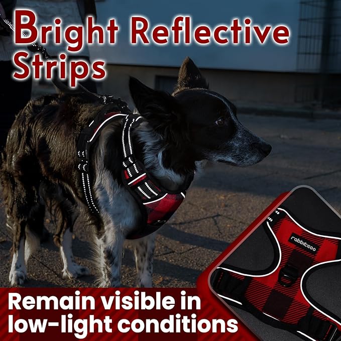 rabbitgoo Dog Harness No Pull with 2 Leash Clips, Adjustable Soft Padded, Reflective Oxford No Choke Pet Vest with Easy Control Handle for Large Dogs, Red Plaid, L