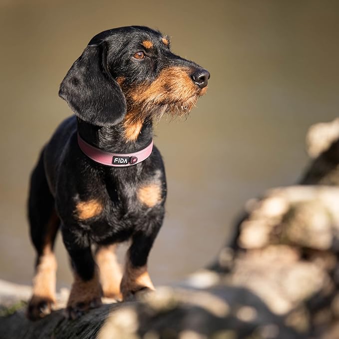 Fida Heavy Duty Dog Collar, Ultra Comfortable Soft Neoprene Padded, Adjustable Reflective Nylon Pet Collar with Durable Metal Belt Buckle for Medium Breeds (M, Pink)