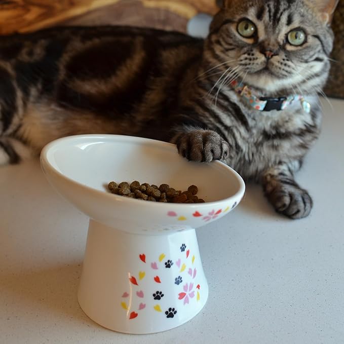 Necoichi Extra Wide Raised Cat Food Bowl, Elevated Cat Bowls to Prevent Neck & Whisker Fatigue, Dishwasher and Microwave Safe, No.1 Seller in Japan! (Sakura Limited Edition, Extra Wide Tilted)