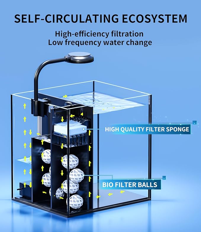 Small Betta Fish Tank Aquarium Starter Kit, 2 Gallon Glass Rimless Nano Beta Tank with Hidden Filtration, 3 Color Light, Quiet Water Pump, Lid