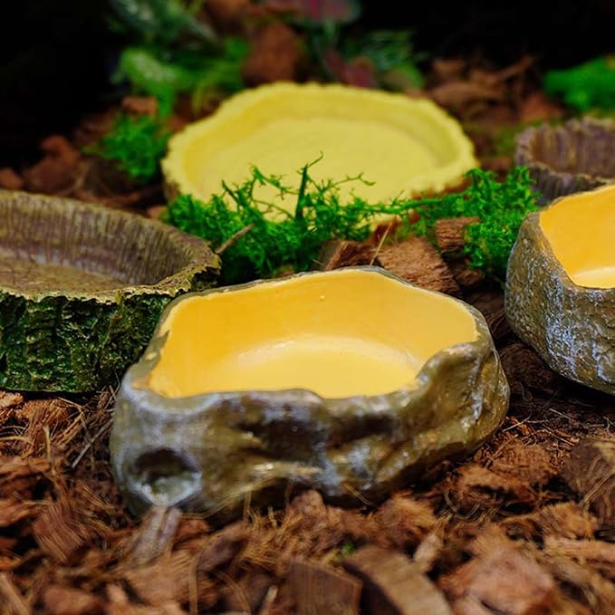 2 Pack Realistic Resin Reptile Food and Water Bowls Natural Simulation Tree Stump Feeding Dishes for Lizards Snakes Tortoises Geckos Decorative Terrarium Landscaping Accessories for Reptile Habitat