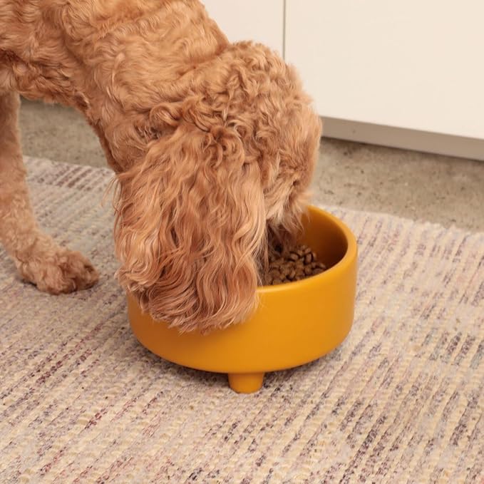 Waggo Uplift Ceramic Dog Bowl for Small Medium and Large Breeds - Heavyweight and Durable Pet Food and Water Dish Crock, Dishwasher Safe, Modern, Elevated Feeder (Olive, Large)