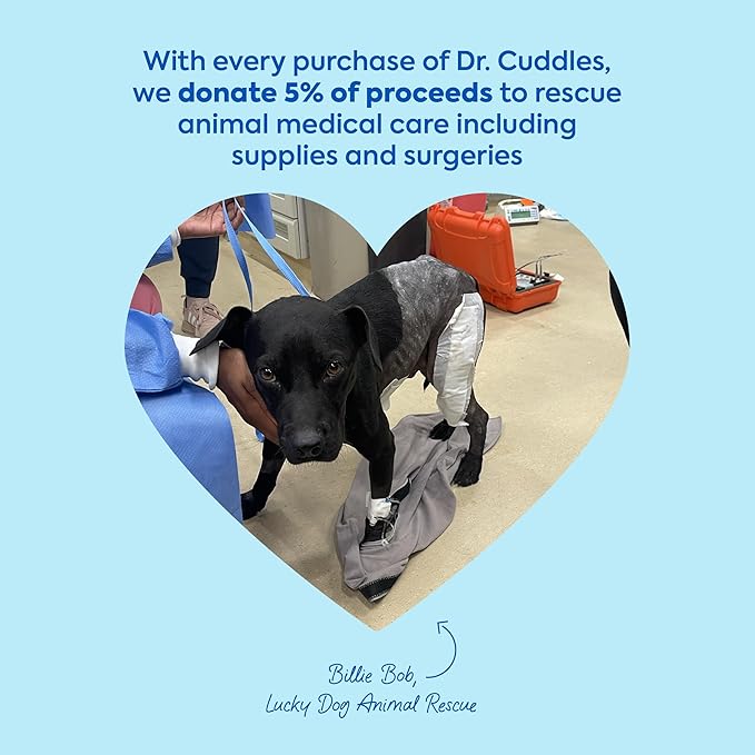 ReadyRESCUE - Dog First Aid Kit Essential - Activated Charcoal Detox for Dogs, Cats, Pets - Animal First Aid Kit - Dog Medical Emergency Kit - Dog Travel Essentials - 30g (1 Vial of 30g)