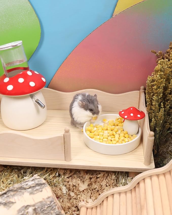 Niteangel Hamster Snack & Treats Toy - Small Animal Natural Treat for Dwarf Syrian Robo Hamsters Gerbils Mice Lemmings Degus or Other Small-Sized Pets