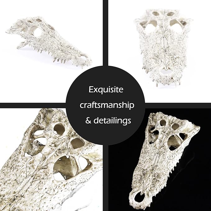 Animal Skull Fish Aquarium Hideout Decorations Cave Dinosaur Reptile Ornament Halloween Dรฉcor for Terrarium Large Betta Decor Bones