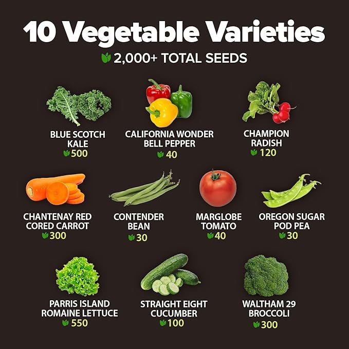 HOME GROWN π¨π¦π π£π₯ππ ππ¨π 10 Variety Vegetable 2,000+ π‘π’π‘-ππ π’ Seeds (Kale Lettuce Tomato Broccoli Beans Peas Bell Peppers Carrot Cucumber Radish) β Indoor & Outdoor Garden Survival Seeds