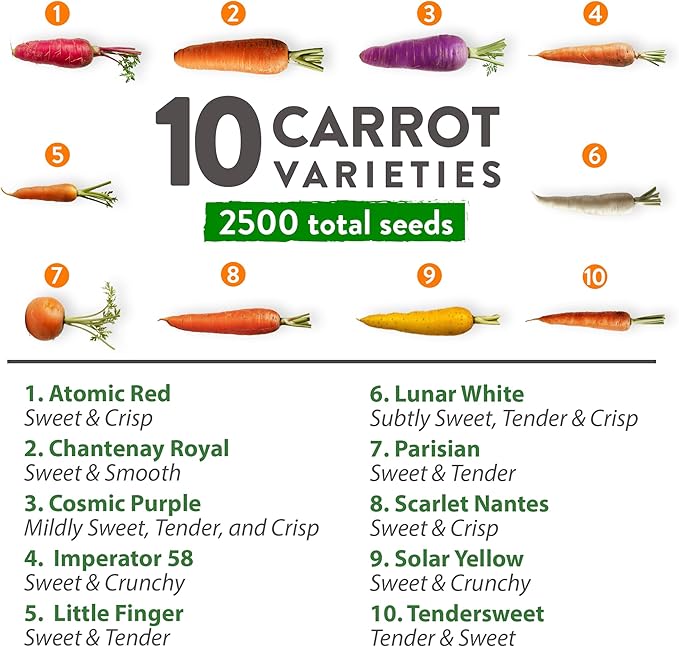 HOME GROWN π¨π¦π π£π₯ππ ππ¨π Rainbow Carrot Seeds β 2500+ Heirloom Seeds (10 Varieties) β High Germination, π‘π’π‘-ππ π’ Vegetable Seeds for Planting Indoors or Outdoor Home Garden