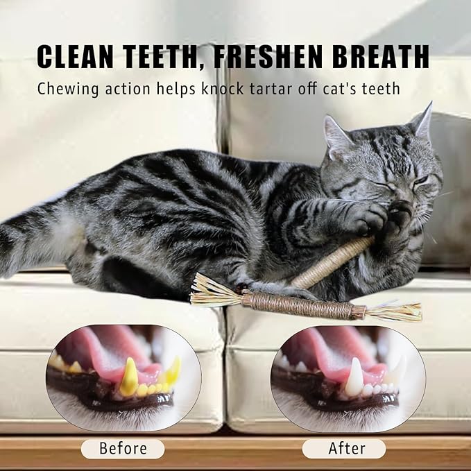 Pet Hair Removal Glove for Furniture, Carpet, Clothes and Car Seats, Electrostatic Cat & Dog Hair Removal Tool, Reusable Pet Hair Remover Glove with Silvervine Sticks (Black, 1 Glove & 2 Sticks)