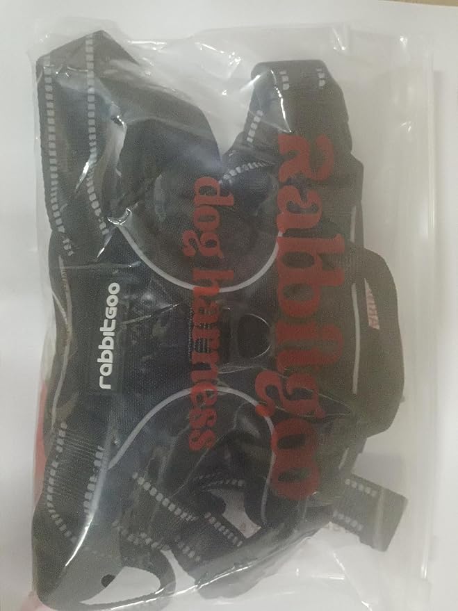 rabbitgoo Dog Harness No Pull with 2 Leash Clips, Adjustable Soft Padded, Reflective Oxford No Choke Pet Vest with Easy Control Handle for Small Dogs, Blue Coral, S