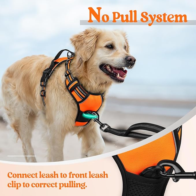 rabbitgoo Dog Harness No Pull with 2 Leash Clips, Adjustable Soft Padded, Reflective Oxford No Choke Pet Vest with Easy Control Handle for Large Dogs,Orange,L