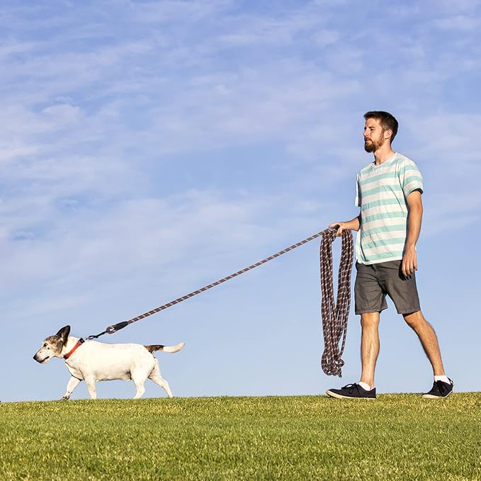 Long Dog Leash for Training 50Ft-Reflective Nylon Rope with Swivel Hook-Recall Agility Lead for Large Small Medium Dogs Outside Walking Hiking-Brown Diam 1/2"