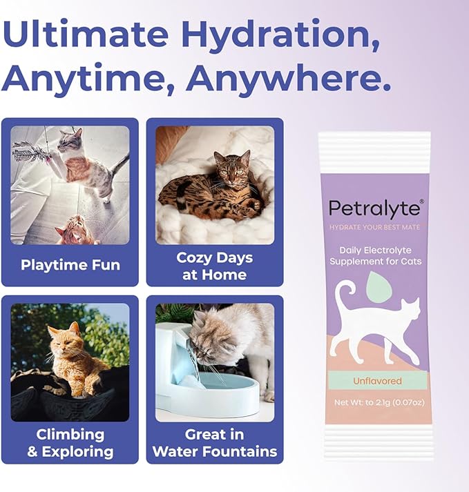 Petralyte Cat Hydration Electrolyte and Cat Joint Supplement | Hydration Support for Cats w/Glucosamine, Chondroitin, L-Glutamine, Taurine, Lysine & Prebiotics | Unflavored | 16 Packets