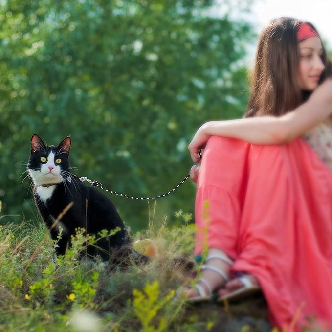 Rypet Reflective Cat Long Leash - 50 FT Escape Proof Walking Leads Yard Long Lead Durable Safe Personalized Extender Leash Traning Play Outdoor for Kitten, Puppy, Rabbit and Small Animals