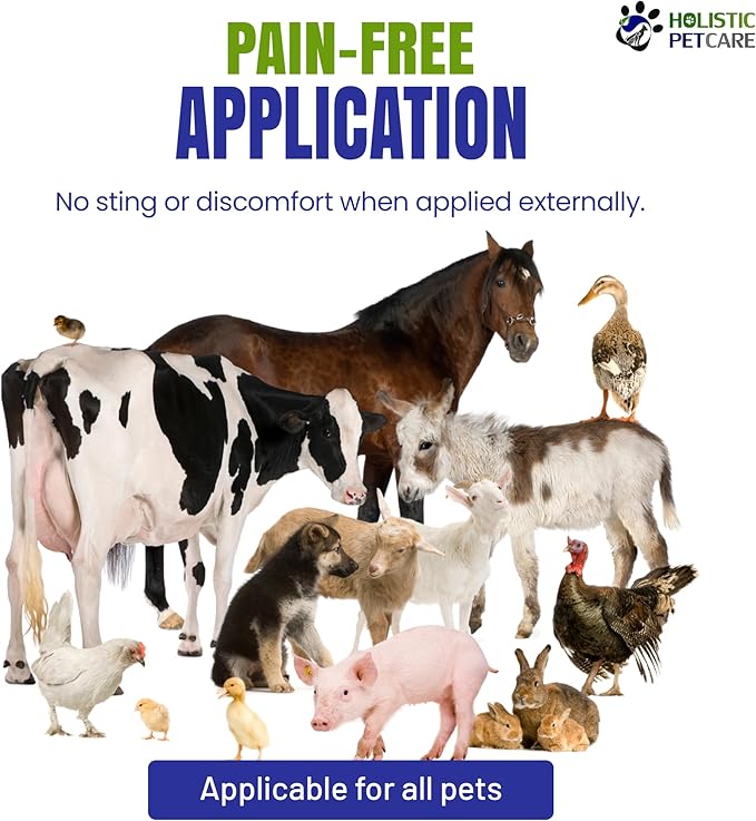 Holistic Pet Care - Colloidal Silver for Dogs, Cats, Horses & Birds - 20 PPM Effective Wound Care, Hot Spot Treatment, Skin Relief & Immune Support - All-Natural Pet Colloidal Silver (1 Gallon)